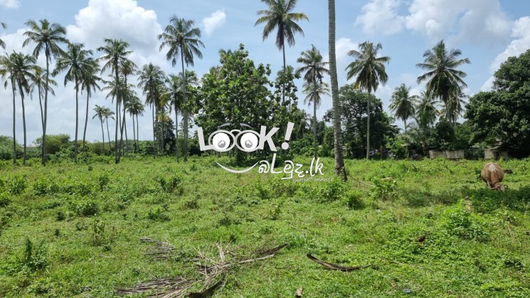 Land For Sale in Awissawella road, Kaduwela