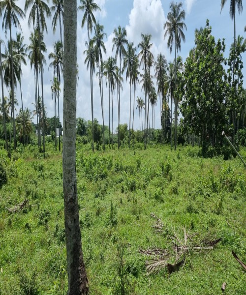 Land For Sale in Awissawella road, Kaduwela