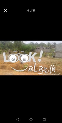 Land For Sale Meegoda 