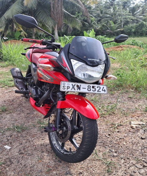Bick for sale