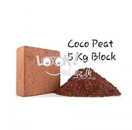  Coco Peat and Husk Chips for Sale