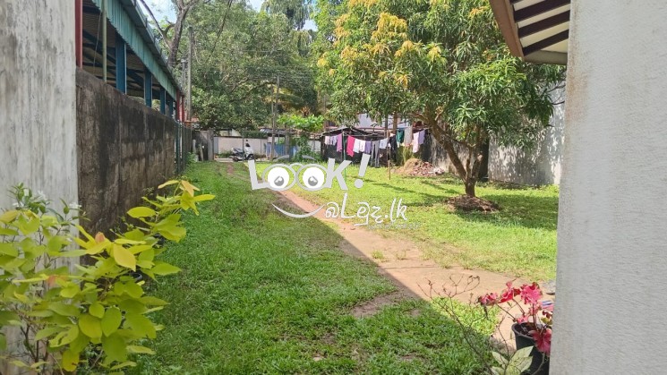 ගම්පහ  මිනුවන්ගොඩ  ප්‍රධාන මාර්ගයට  මුහුණලා ඇති අගනා නිවාස විකිණීමට 