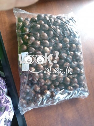 Dried Nutmeg and Mace.