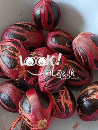 Dried Nutmeg and Mace.