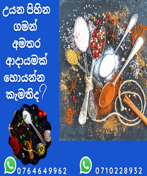  Part Time  JOB  ගෙදර  ඉන්න ගමන් හොඳ මාසික ආදායමක් උපයා ගන්න කැමතිද?