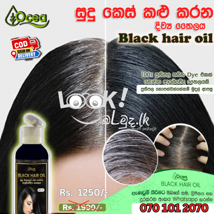 Black Hair Oil සුදු කෙස් කළු කරන දිව්‍ය තෛලය