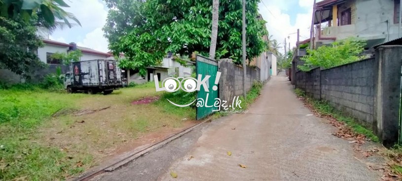 LAND FOR SALE PANNIPITIYA 