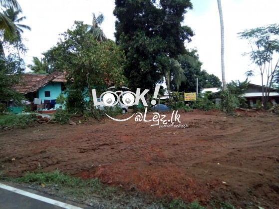 Land for Sale PITIPANA 