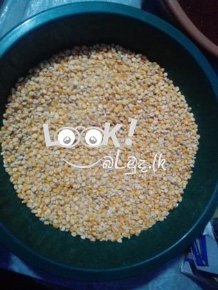 ඇතිමලේ කුරහන්