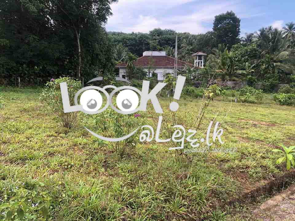 Land for sale