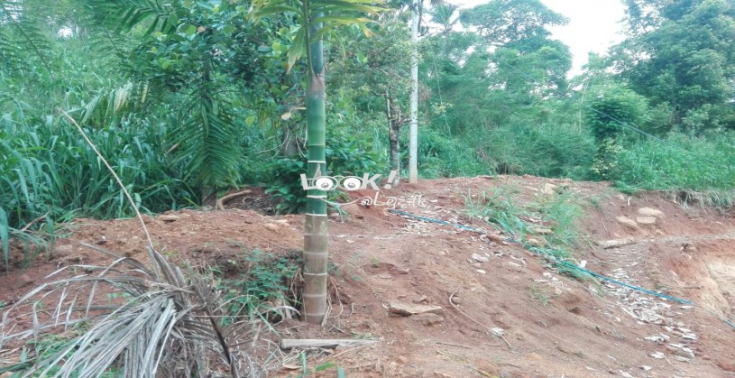 Land Close To Gampola