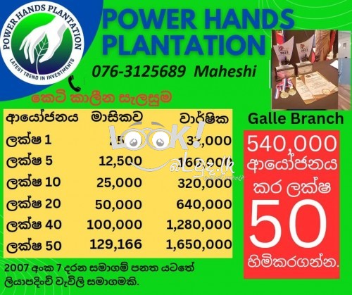 Power hands plantation 