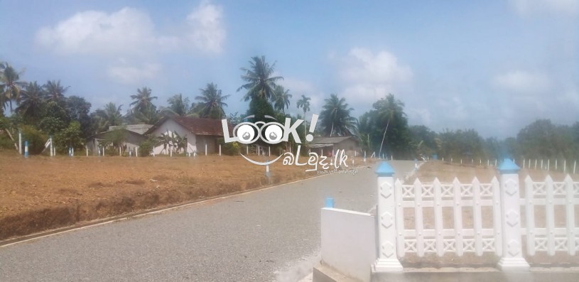 Land for sale