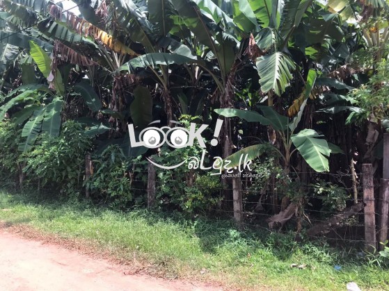 Land for sale