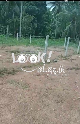 Land for sale