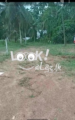 Land for sale