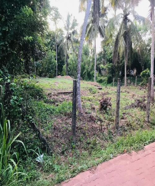 Land for sale