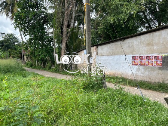 Land for sale