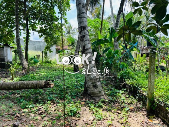 Land for sale