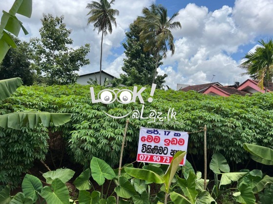 Land for sale