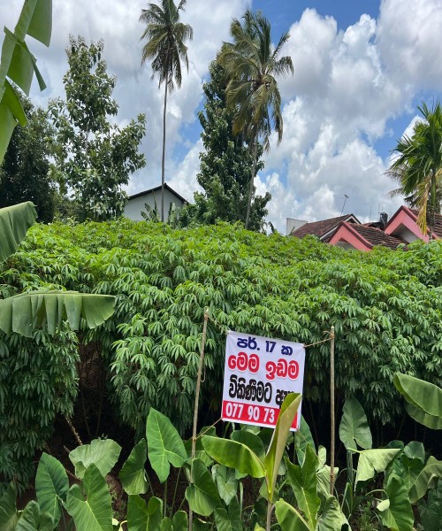 Land for sale