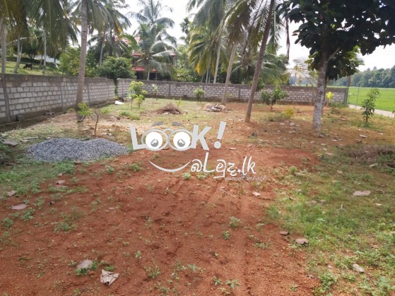 Land for sale