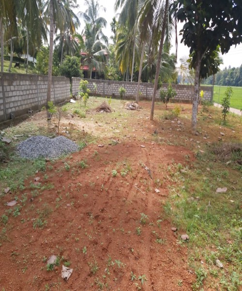 Land for sale