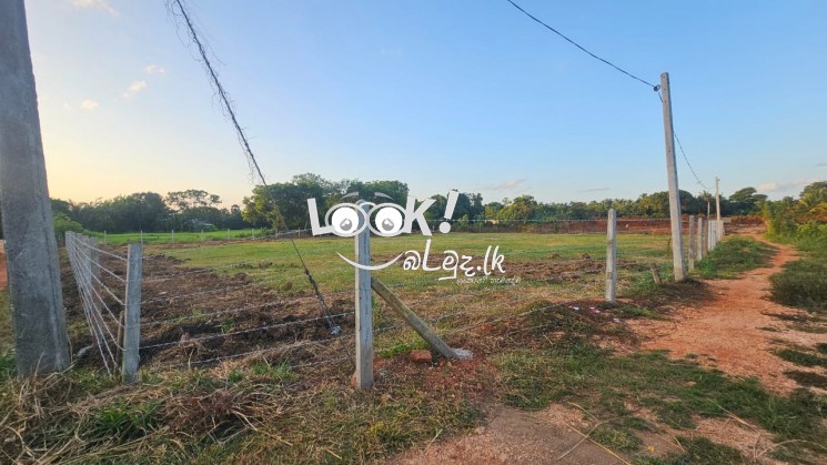 Land for sale