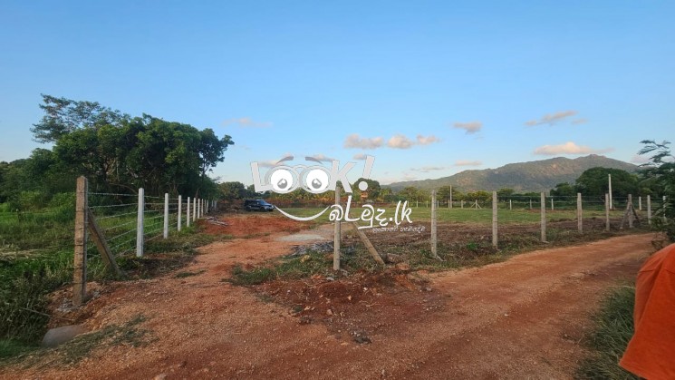 Land for sale