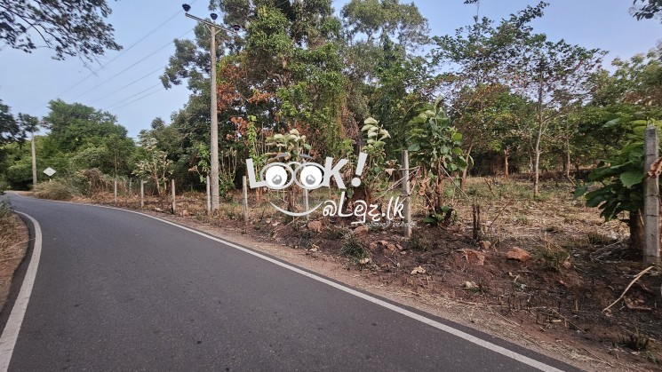 Land for sale