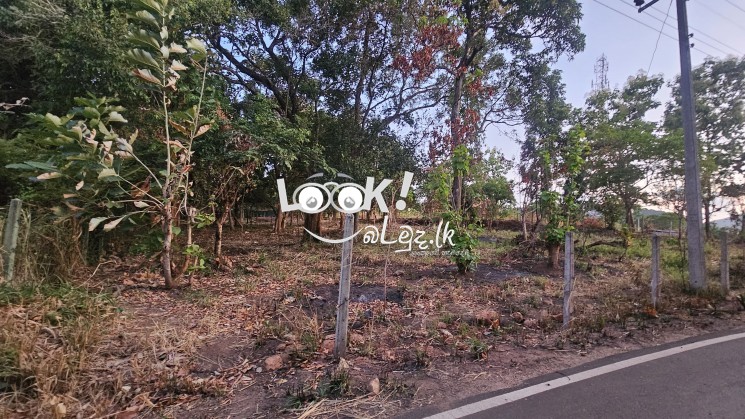 Land for sale