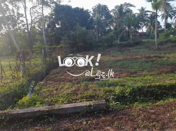 Land for sale