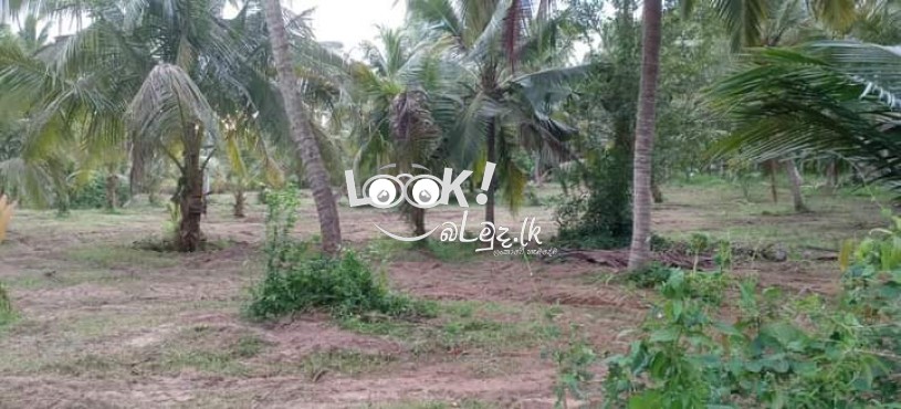 Land for sale