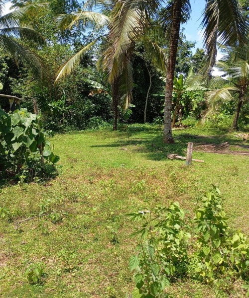 Land for sale