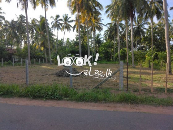 Land for sale