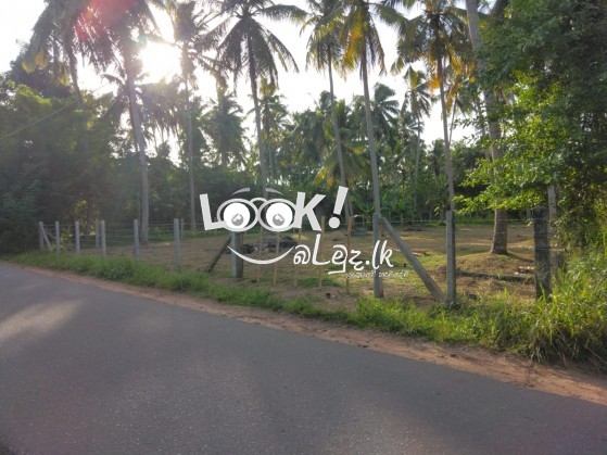 Land for sale