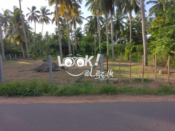 Land for sale