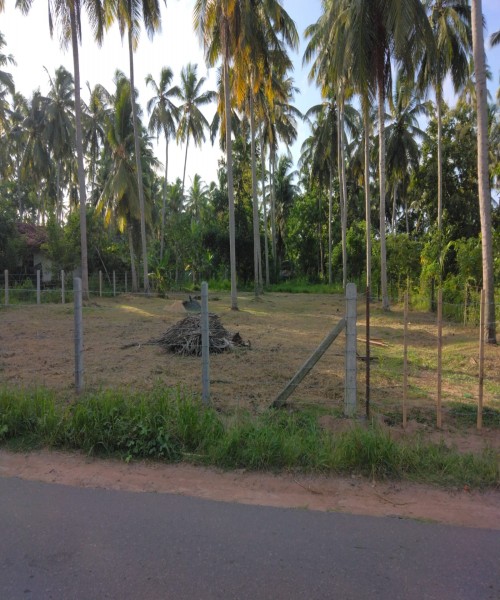 Land for sale