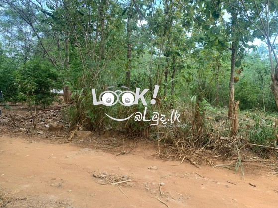 Land for sale