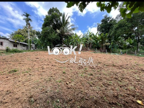 Land for sale