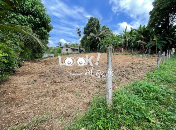 Land for sale