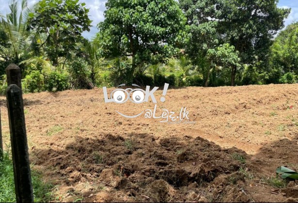 Land for sale