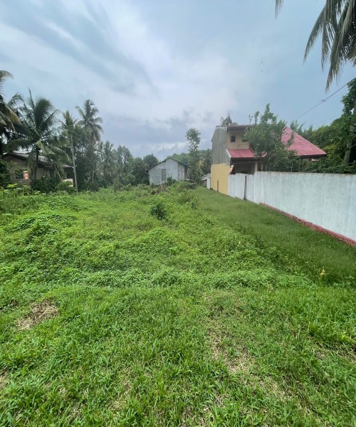 Land for sale