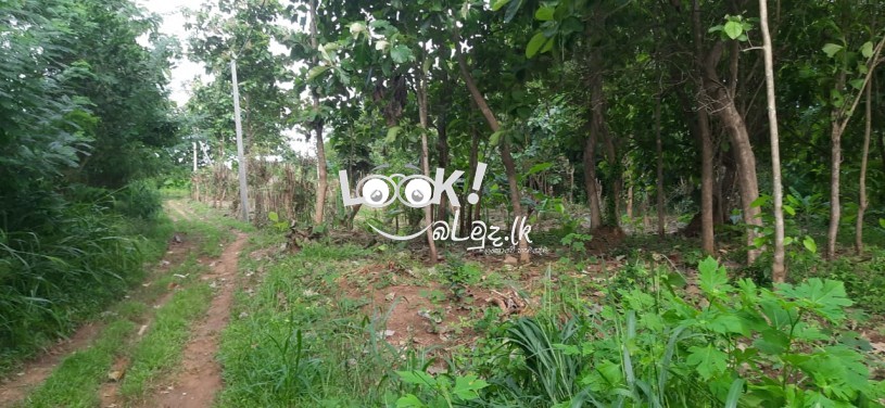 Land for sale