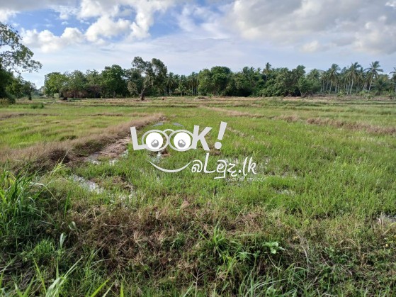 Land for sale