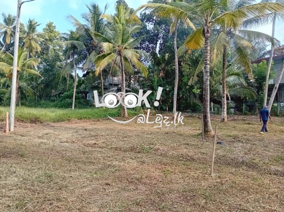 Land for sale