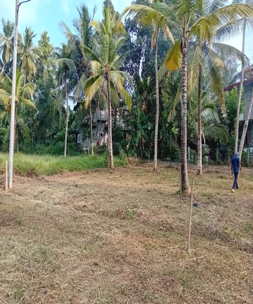 Land for sale