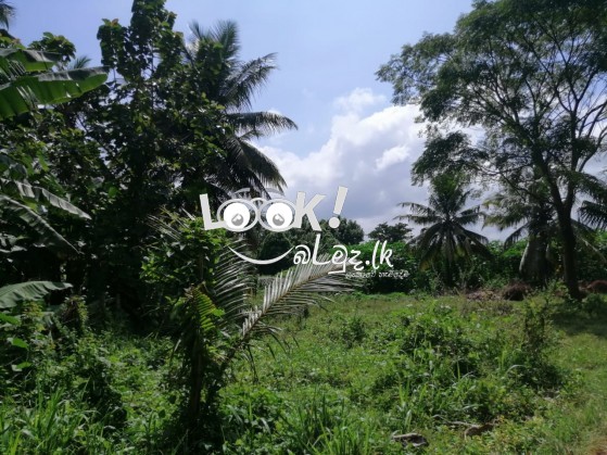 Land for sale