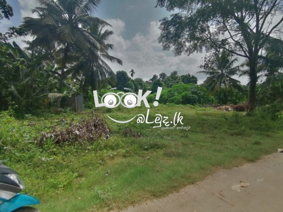 Land for sale