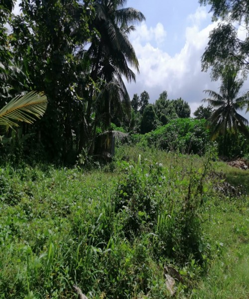 Land for sale